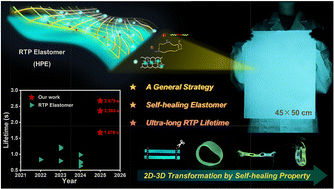 Graphical abstract: A general strategy for self-healing elastomers with ultralong room-temperature phosphorescence