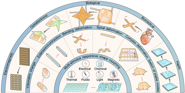 Graphical abstract: Shape-morphing bioelectronic devices