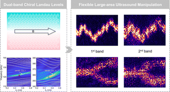Graphical abstract: Dual-band flexible large-area ultrasonic energy conveying via elastic chiral Landau levels