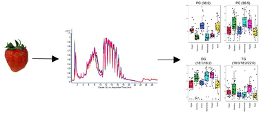 Graphical abstract: Lipid profiling: proving the geographical origin of strawberries (Fragaria × ananassa) using a non-targeted LC-IM-MS approach