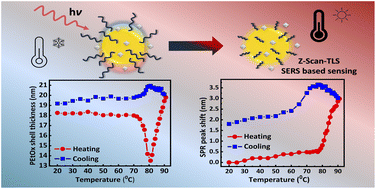 Graphical abstract: Plasmonic behaviour of poly(2-ethyl-2-oxazoline)-coated gold nanoparticles for sensing and temperature-control applications
