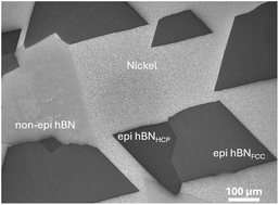 Graphical abstract: Fast crystallographic texture mapping of atomically thin hBN films on Ni(111) using secondary electron contrast