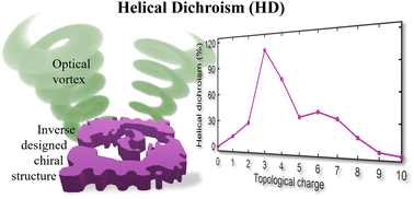 Graphical abstract: Inverse design of chiral structures for giant helical dichroism