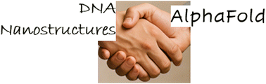 Graphical abstract: AlphaFold 3 modeling of DNA nanomotifs: is it reliable?