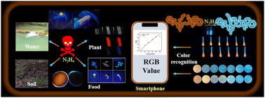 Graphical abstract: A fluorescent probe based on benzothiazole and benzoindole for detecting hydrazine in various applications