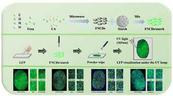 Graphical abstract: Synthesis of starch-based F/N-doped carbon dots for enhanced detection of latent fingerprint tertiary structures