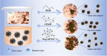Graphical abstract: Study on the preparation and application of a novel functionalized starch-grafted-APTAC flocculant