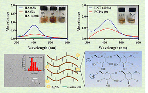 Graphical abstract: The factors influencing the synthesis of silver nanoparticles using natural polysaccharides