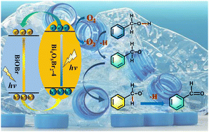 Graphical abstract: Reengineering waste PET bottles into BiOBr/Bi4O5Br2 heterojunction materials for highly selective photocatalytic oxidation of benzyl alcohol