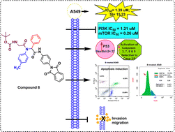 Graphical abstract: Dual targeted Ugi-bisamides induce caspase-mediated apoptosis and inhibit PI3K/mTOR signaling in NSCLC