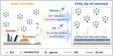 Graphical abstract: A dual electrolyte additive strategy for achieving stable Zn anodes for zinc-ion batteries