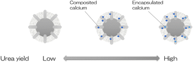 Graphical abstract: Influence of calcium addition on catalytic urea synthesis from recovered ammonia and carbon dioxide in the nanospaces of porous hollow silica spheres