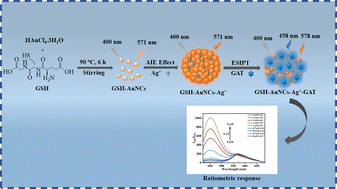 Graphical abstract: Detection of gatifloxacin by a ratiometric fluorescent probe based on Ag+ ion triggered aggregation-induced emission