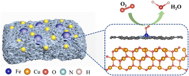 Graphical abstract: Boosting activity toward the oxygen reduction reaction of a hyper-crosslinked FeCu bimetal nanocatalyst via mimicking cytochrome c oxidase