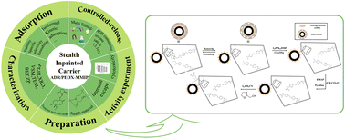 Graphical abstract: Intelligent stealth andrographolide imprinted drug carrier of poly(2-ethyl-2-oxazoline) with multi-stimuli responsiveness and A549 lung cancer cell cytotoxicity