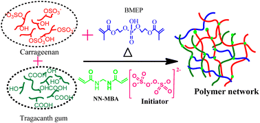 Graphical abstract: Designing biocompatible functional network pH-sensing hydrogels for automated colonic therapeutic delivery