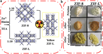 Graphical abstract: Gamma radiation-induced defects, phase transformation, and color change in ZIF materials (ZIF-8 and ZIF-L) for enhanced hydrogen generation