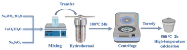 Graphical abstract: CuWO4 doped with Se for enhanced photocatalytic antibacterial activity