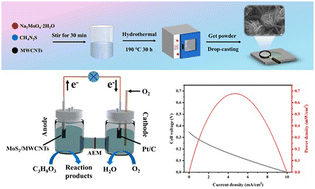 Graphical abstract: MWCNT-loaded MoS2 nanoflower-modified electrodes as efficient catalysts for direct glycerol fuel cells