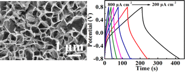 Graphical abstract: Electrochemical deposition of porous CoMnS–PDA onto ITO/PET for high-performance all-solid-state flexible transparent supercapacitors