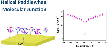 Graphical abstract: Robust large-area molecular junctions of self-assembled monolayers of a model helical paddlewheel complex