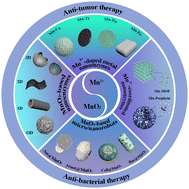 Graphical abstract: Manganese-based nanoenzymes: from catalytic chemistry to design principle and antitumor/antibacterial therapy