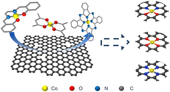 Graphical abstract: Molecular coordination inheritance of single Co atom catalysts for two-electron oxygen reduction reaction