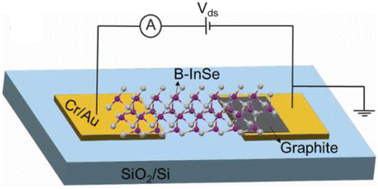 Graphical abstract: An ultra-high-speed vertically illuminated self-driven lateral asymmetric InSe photodetector