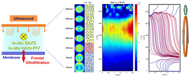 Graphical abstract: Rayleigh streaming phenomena at the physical origin of cellulose nanocrystals orientations during combined ultrasound and ultrafiltration processes