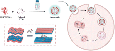 Graphical abstract: A fluorenone-based conjugated polymer nanoparticle applied in drug delivery with real-time detection (color change) via the AILE mechanism