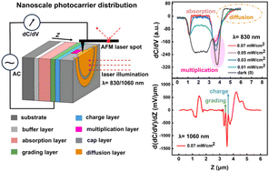 Graphical abstract: Photocarrier distribution in InGaAs/InP avalanche photodiodes and its contribution to device performances