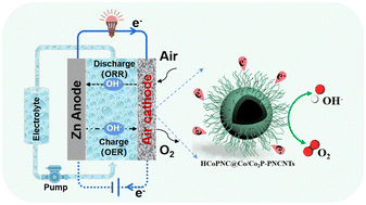 Graphical abstract: Construction of hollow urchin-like carbon frameworks with Co, P, and N doping and encapsulated Co/Co2P heterojunction as bifunctional electrocatalysts for rechargeable Zn–air batteries