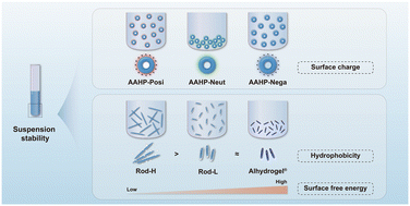Graphical abstract: Suspension stability of aluminum-based adjuvants