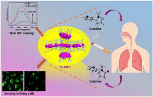 Graphical abstract: A biomimetic Fe(iii)–metal–organic framework nanosphere-based dual modal probe for aqueous and intracellular sensing of nicotine and its metabolite cotinine