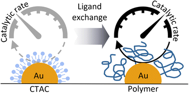 Graphical abstract: Functionalization with polymer ligands enhances the catalytic activity of surfactant-stabilized gold nanoparticles
