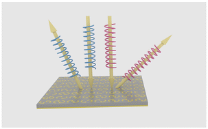 Graphical abstract: Spin-multiplexed phase and amplitude manipulations of terahertz waves based on chiral metasurfaces