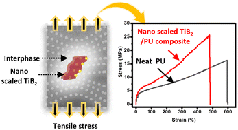 Graphical abstract: Titanium diboride-derived nanosheets enhance the mechanical properties of polyurethane: experiments and simulation