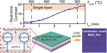 Graphical abstract: Layer-controlled continuous MoS2 growth using a spin-coatable metal precursor buffer