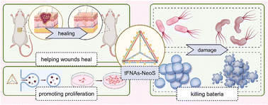 Graphical abstract: Neomycin loaded by tetrahedral framework nucleic acids enhances antimicrobial sensitivity against bacteria
