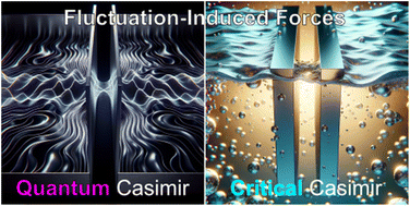 Graphical abstract: Quantum and critical Casimir effects: bridging fluctuation physics and nanotechnology