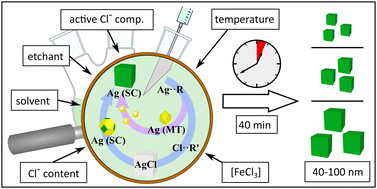 Graphical abstract: Controlling the formation of fast-growing silver nanocubes in non-polar solvents