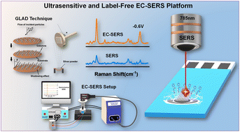 Graphical abstract: Potential-modulated SERS profiling via GLAD-fabricated Ag nanorod arrays for ultrasensitive and label-free spectroelectrochemical sensing