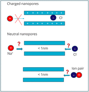 Graphical abstract: Influence of ion pairing on ion and counterion retention in neutral nanopores of gibbsite and kaolinite
