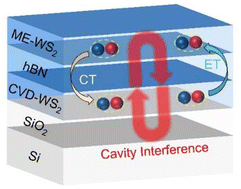 Graphical abstract: Synergistic effects of charge transfer, energy transfer and cavity interference on the exciton emission in WS2/hBN/WS2 heterostructures