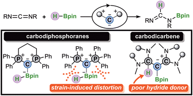 Graphical abstract: Effect of strain and π-acidity on the catalytic efficiency of carbones in carbodiimide hydroboration