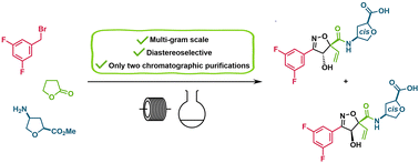 Graphical abstract: Synthesis of selected plant metabolites of icafolin–methyl via the formation of a spirocyclic nitronate