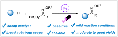 Graphical abstract: Iron-catalyzed C–H bond functionalization into oxime ethers via photo-induced ligand-to-metal charge transfer