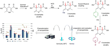 Graphical abstract: Multistep synthesis of cationic lipid-like compounds based on a difluorotetrahydropyridine scaffold as amphiphilic nanocarriers