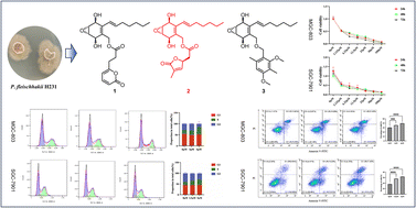 Graphical abstract: Cytotoxic polyketides from the desert soil-derived fungus Preussia fleischhakii H231