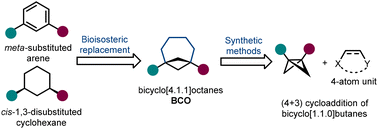 Graphical abstract: Recent advances in the synthesis of bicyclo[4.1.1]octanes